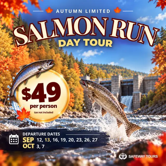 See Ontario’s Salmon Run This Fall | 1-Day Tour $49 + Tax