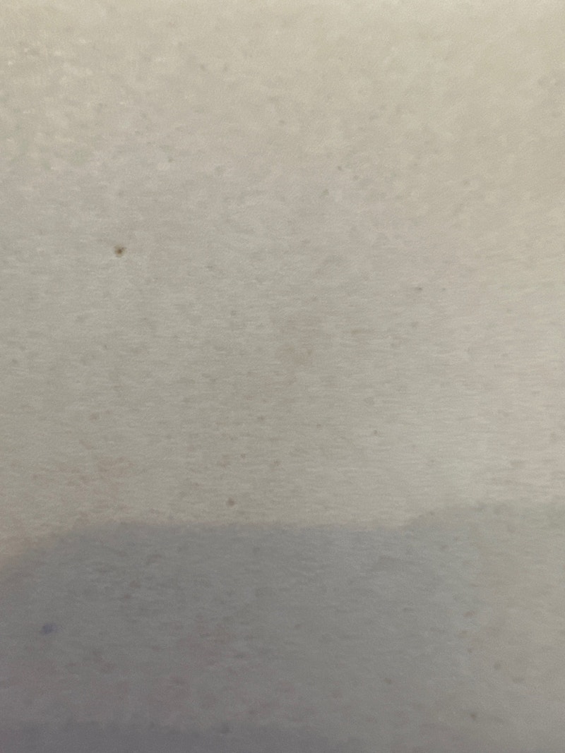 Basement apartment Tottenham Long Term Rentals Mississauga / Peel