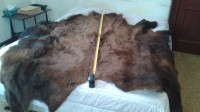 Bison rugs