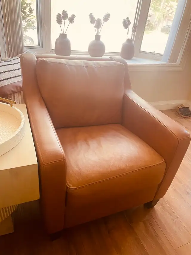 leather sofa