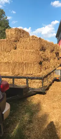 Straw Bales  - Small Squares