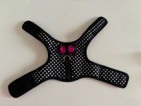 Pet Harness City of Toronto Toronto (GTA) Preview