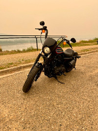 2020 Harley Davidson Sportster Iron 1200 Need gone!