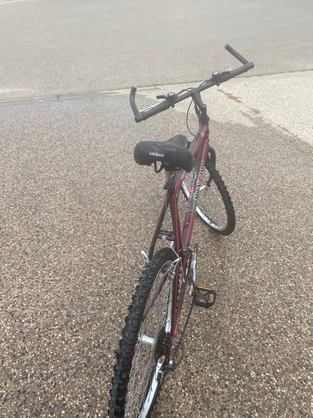 MINELLI BIKE Mountain Regina Kijiji