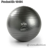 Spri Elite Stability Exercise Ball - 55 cm