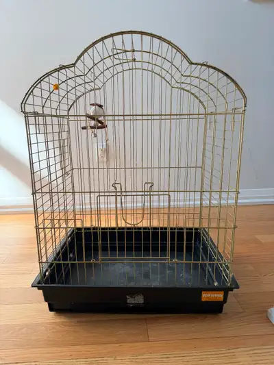 Gold painted bird cage ( solid) for sale Used for winters only .. Moving so sold all birds Dimension...