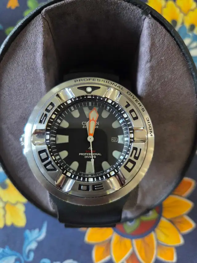 Citizen Promaster Professional Diver