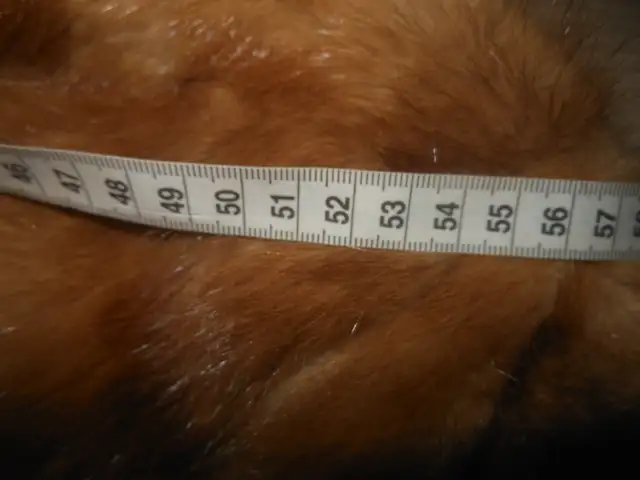 Mink Fur coat in Women's - Tops & Outerwear in City of Montréal - Image 10