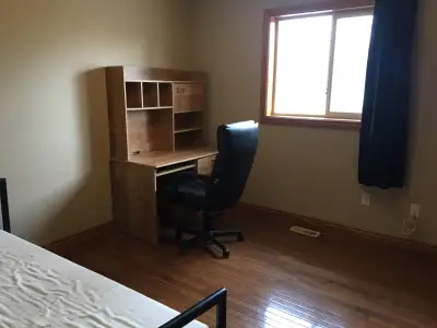 South Windsor nice room for rent