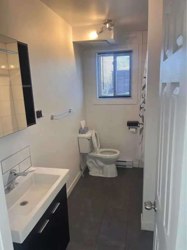 appartement 4 1/2 a louer in Long Term Rentals in Québec City - Image 11