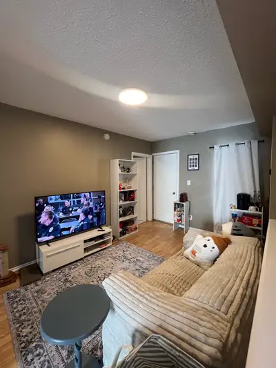 Looking for a roommate to rent the upstairs bedroom in a good sized 2 bed apartment. Bedroom has a c...