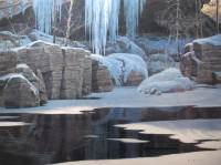 Robert Bateman Winter Reflections- Wolf Canvas Print