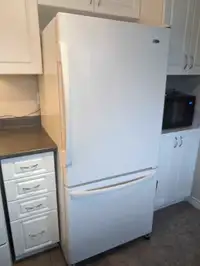 Amana Refrigerator with Bottom Freezer Drawer
