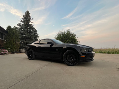 2014 Mustang GT Premium 5.0L