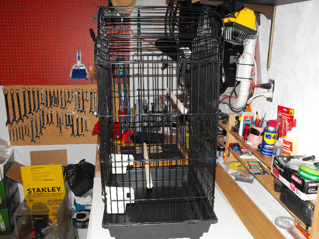 bird cage in Accessories in Kitchener / Waterloo - Image 2