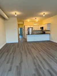 Downtown luxury two bedroom apartment for rent