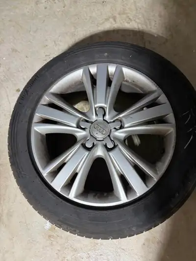 Summer tires on rims, 265/50R19 Triangle th202, rims 8,5J ET62 5x130mm CB 71.5mm. Fit older q7(until...