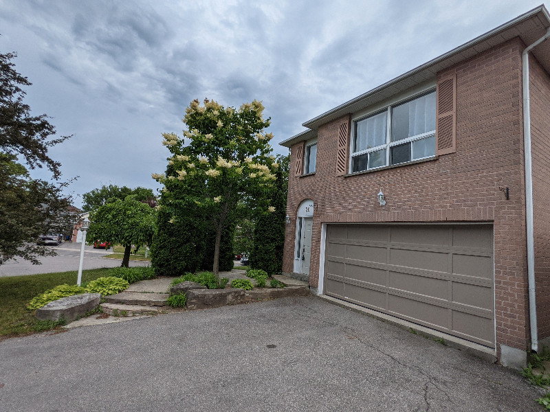 Spacious 1 Br Walk Out First Floor In Bowmanville Long Term Rentals