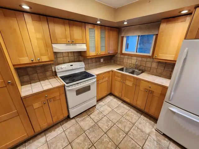 Beautiful Open Concept Raised Bungalow House for Rent in Houses for Sale in Kitchener / Waterloo - Image 21
