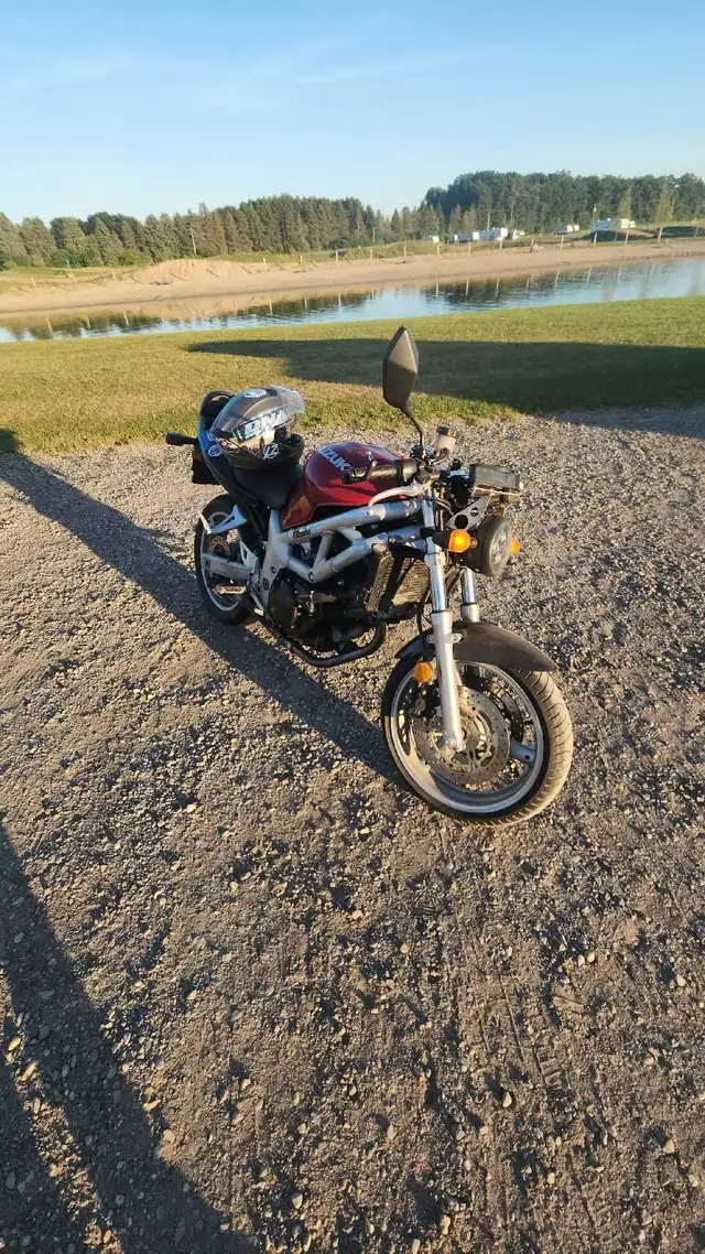 2001 SV650 in Sport Touring in Norfolk County - Image 4