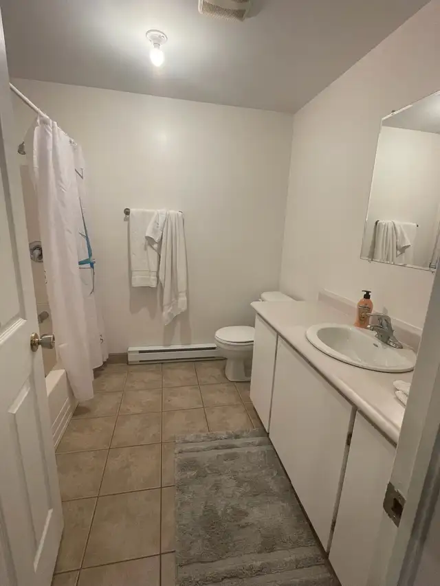 Fortune Bridge in Long Term Rentals in Charlottetown - Image 8