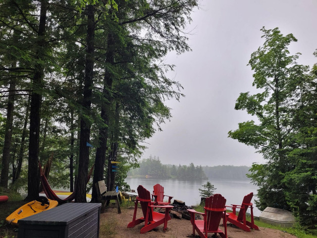 Lazy Loon waterfront cottage  in Ontario - Image 2