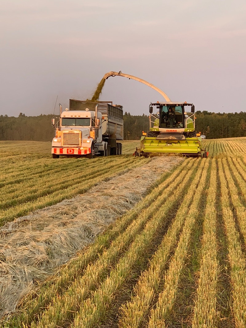 Custom silage harvesting 2023 Farming Equipment Regina Kijiji