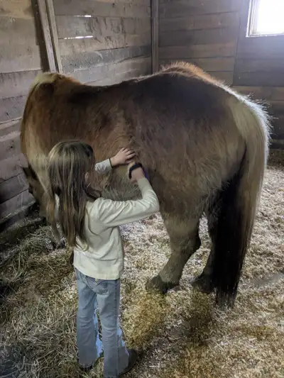 Good morning, We are a working family looking for a new farm property to call our home Our current h...