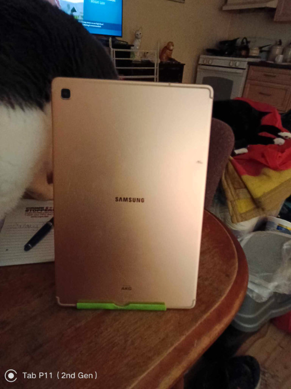 Samsung Galaxy Tab S5E Comes with charger and OtterBox in General Electronics in Kitchener / Waterloo