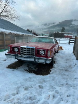 1979 Ford Thunderbird DELUXE