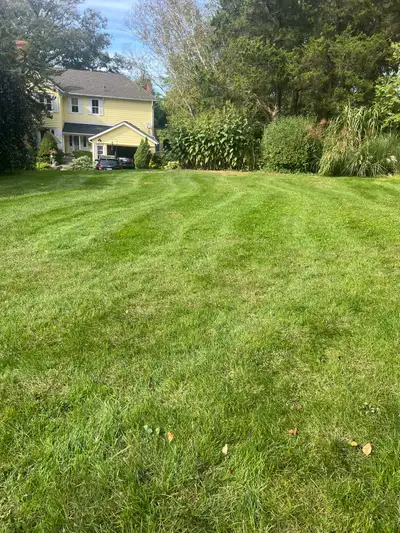 Lawn care company, View more