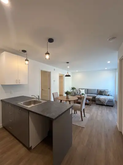 Spacieux 3 ½ situé au 1er étage, entièrement rénové à neuf. Très lumineux avec une belle aire de vie...