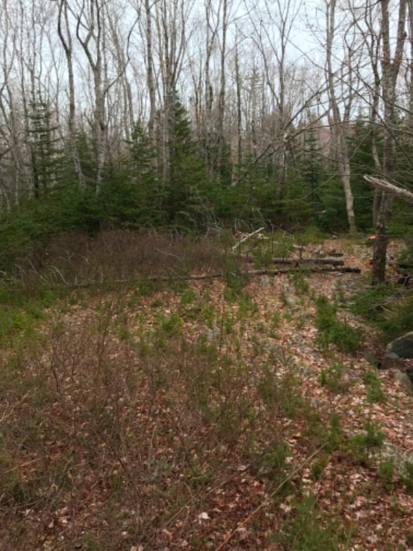 Land for rent, annual rent only in Land for Sale in Bridgewater