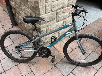 Supercycle Reaction Youth HT Mountain Bike, 24-in, View more