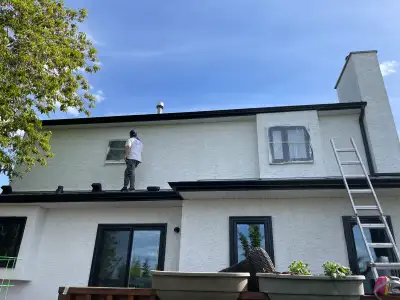 Painter/Painting services, View more
