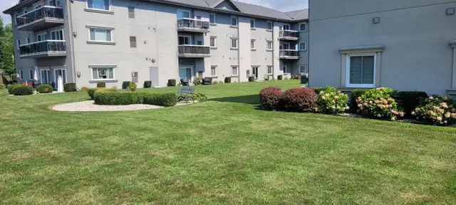Tree trimming and Removal579217605777827841