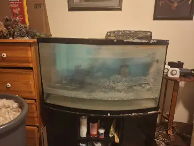 Looking to downsize my aquariums!, View more