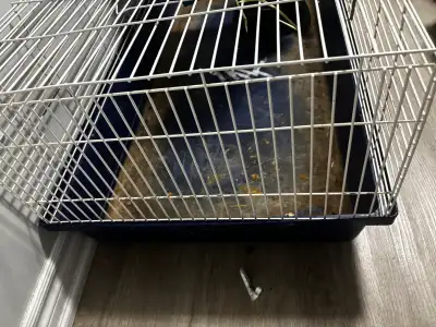 hamster/Guinea pig cage and supplies, View more