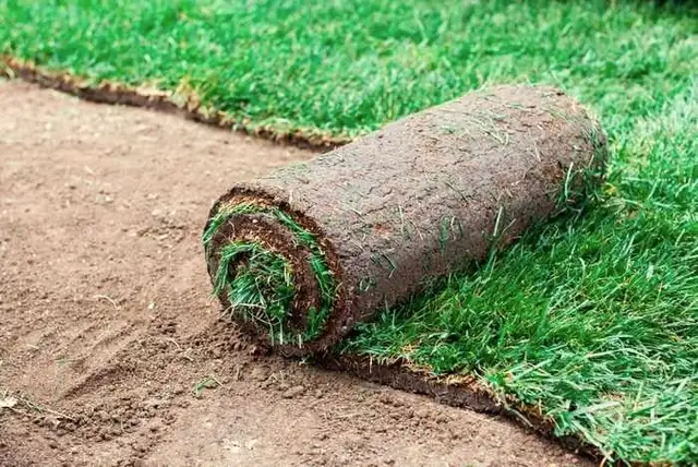 Concrete Work/ Landscape63373390647683124
