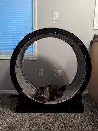 Used Homegroove Cat Wheel from Amazon 