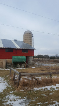Silo for almost free 12x40ft