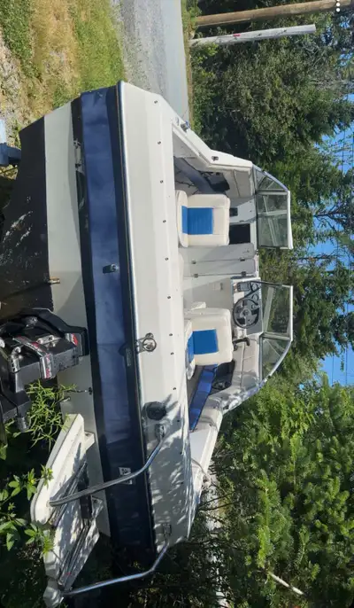 Runs and works great, had it out allot this year but due to moveing I don’t have the space for it. O...