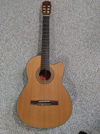 Vintage Acoustic Guitar