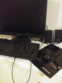 Computer monitor, keyboard, speakers, mouse