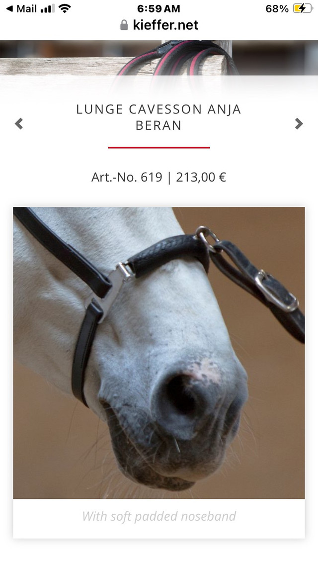Lunging cavesson by Kieffer new price in Equestrian & Livestock Accessories in Calgary
