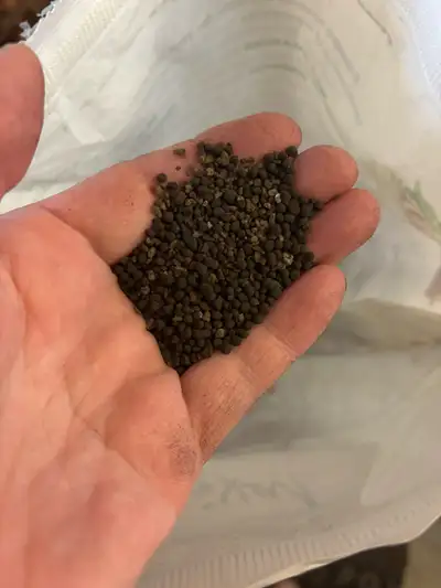 Blue green, natural, beige/black all $1 per cup or 8 cups for $5. Man pic fluval aqua oil mixed with...
