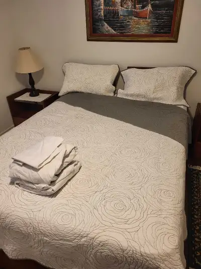 Queen-sized quilt set and sheets. two pillow shams (20x26 inches), and 2 pillows cases with the shee...