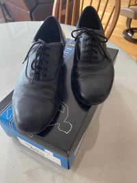 Pair of Men’s Dancer’s Shoes