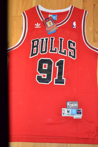 'NEW w tags DENNIS RODMAN All Embroidered Jersey