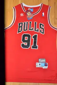 'NEW w tags DENNIS RODMAN All Embroidered Jersey